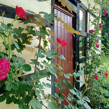 Bnb Het Geluk Van Limburg Mechelen Dış mekan fotoğraf