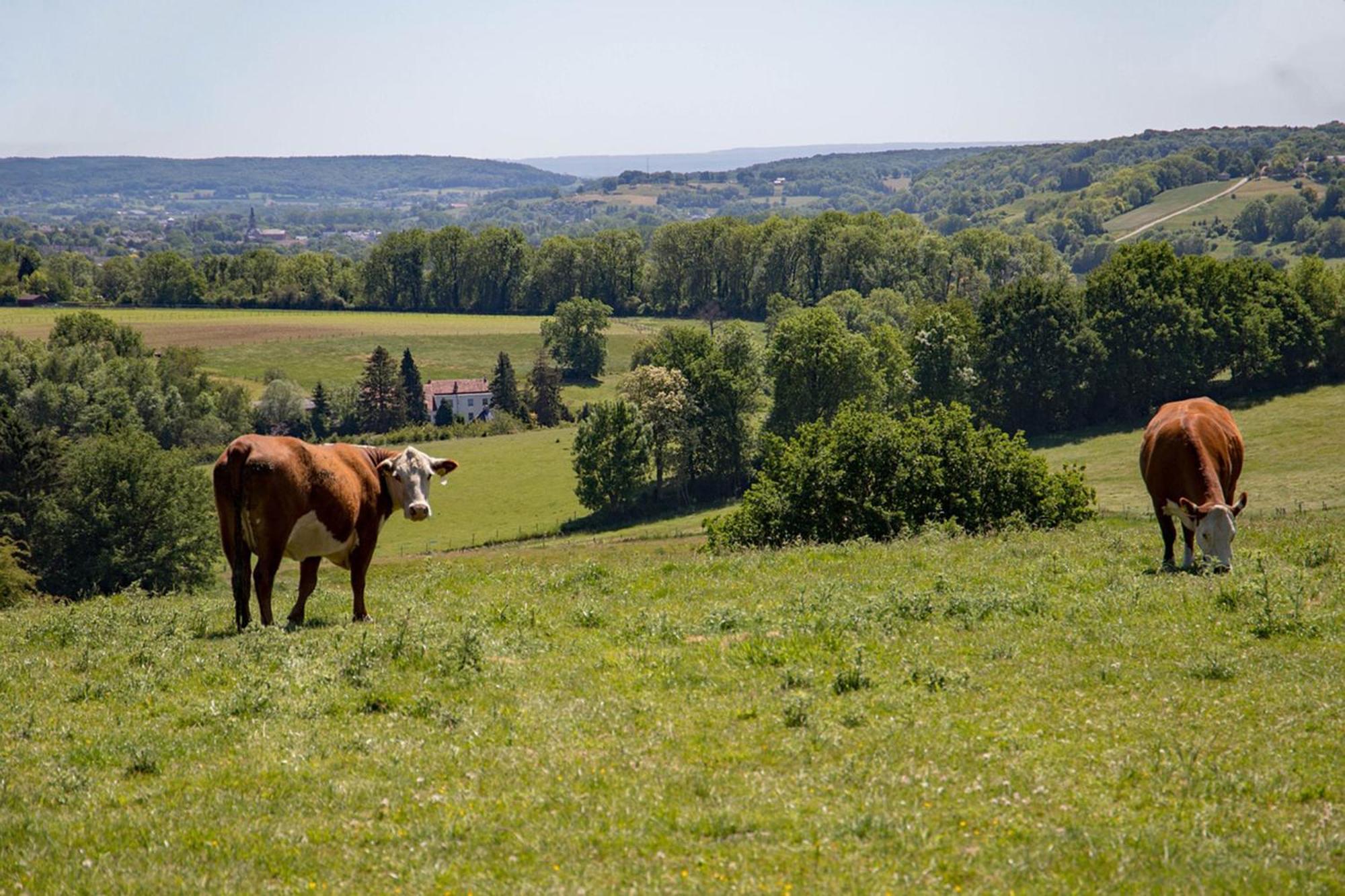 Bnb Het Geluk Van Limburg Mechelen Dış mekan fotoğraf