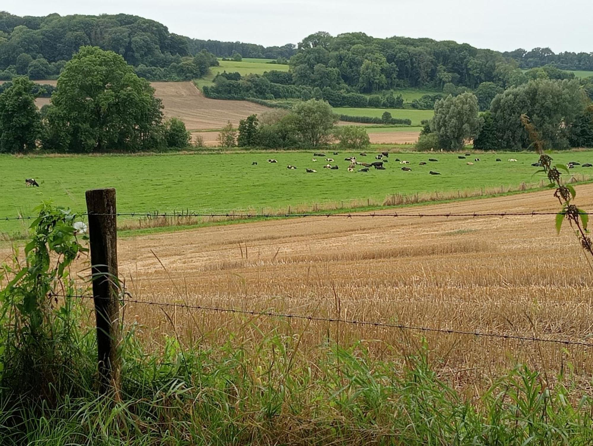 Bnb Het Geluk Van Limburg Mechelen Dış mekan fotoğraf