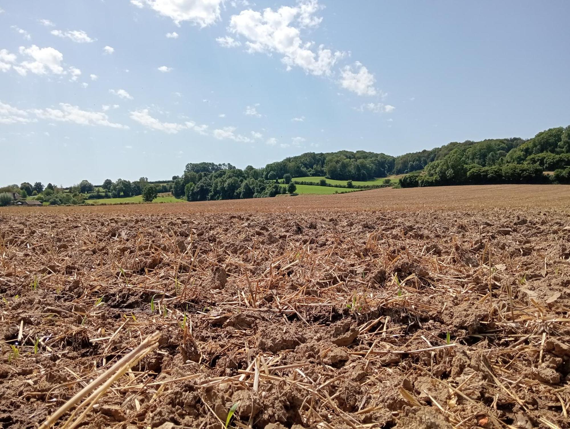 Bnb Het Geluk Van Limburg Mechelen Dış mekan fotoğraf