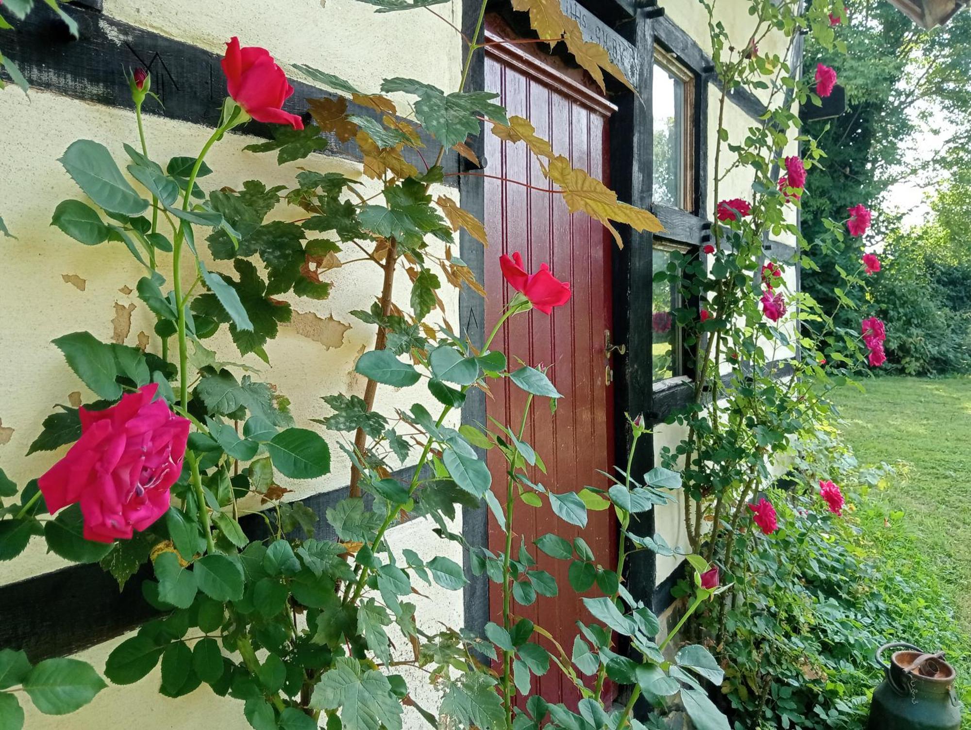 Bnb Het Geluk Van Limburg Mechelen Dış mekan fotoğraf